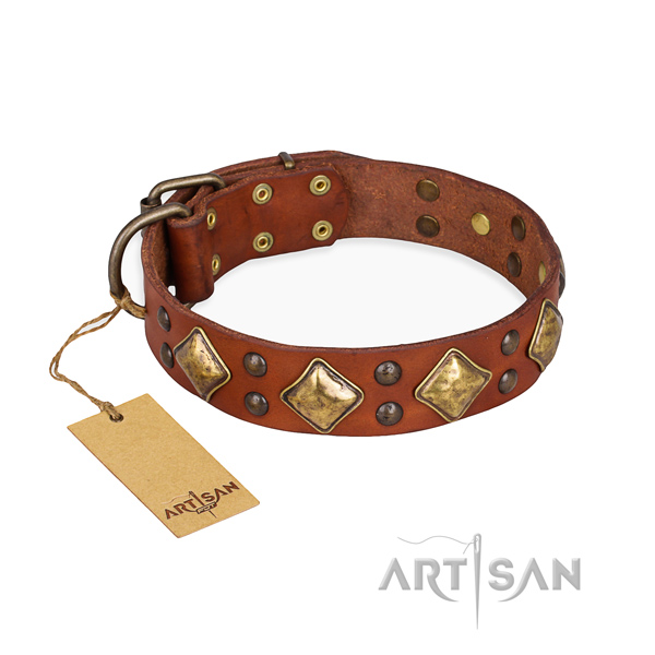 Stylish walking adjustable dog collar with corrosion proof buckle