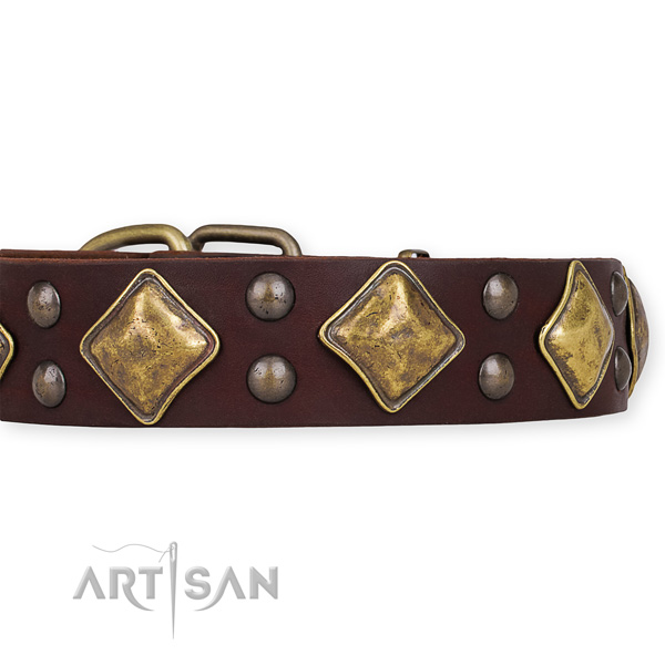 Full grain leather dog collar with designer reliable embellishments