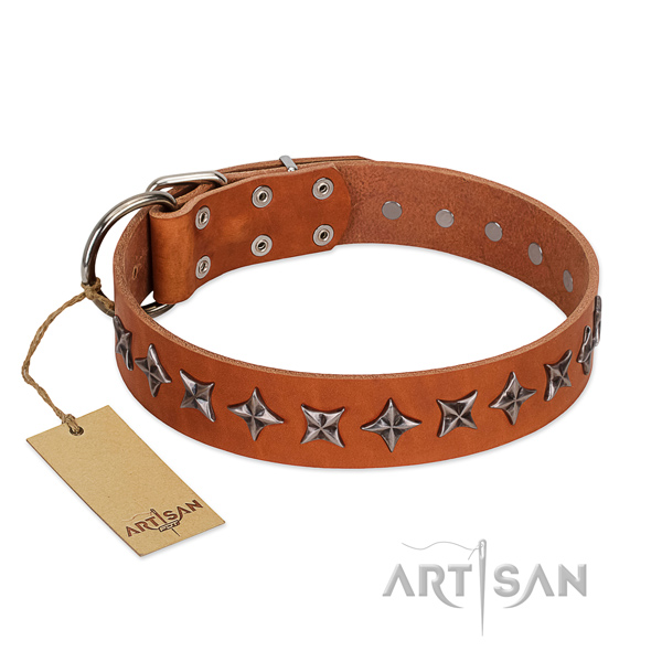 Daily use dog collar of fine quality natural leather with embellishments