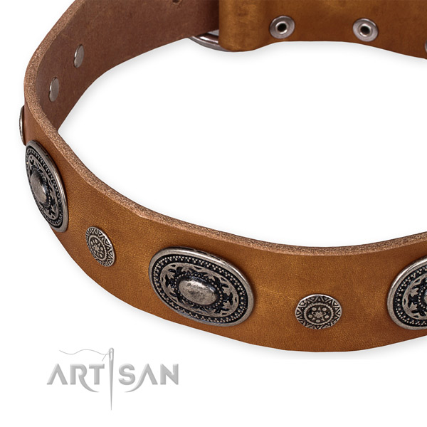 Best quality genuine leather dog collar crafted for your handsome four-legged friend