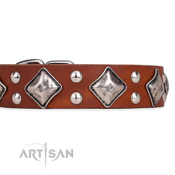 Full grain leather dog collar with stylish design rust-proof embellishments