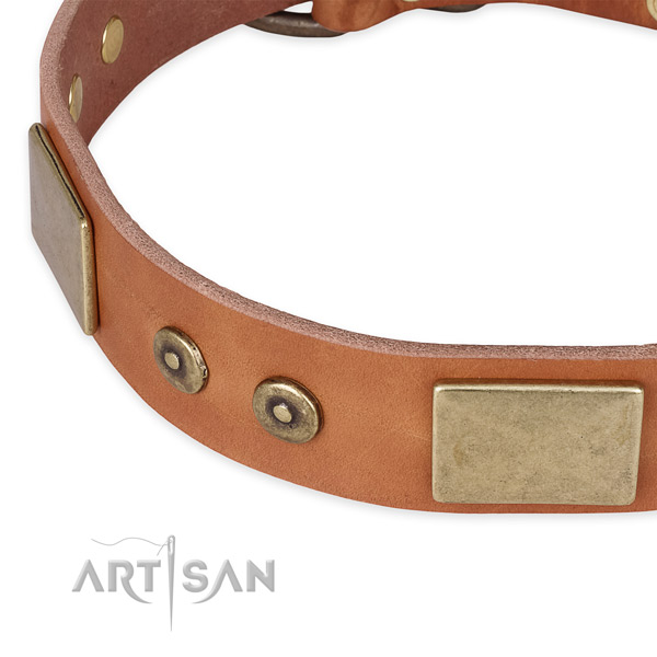 Strong traditional buckle on leather dog collar for your dog