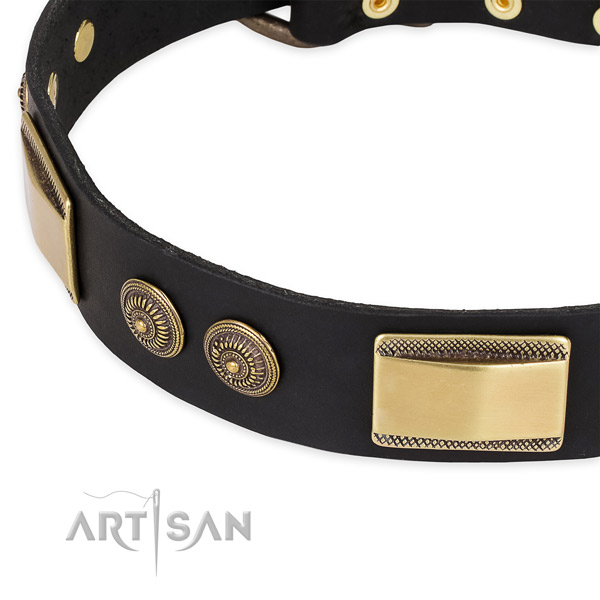 Incredible full grain natural leather collar for your beautiful canine