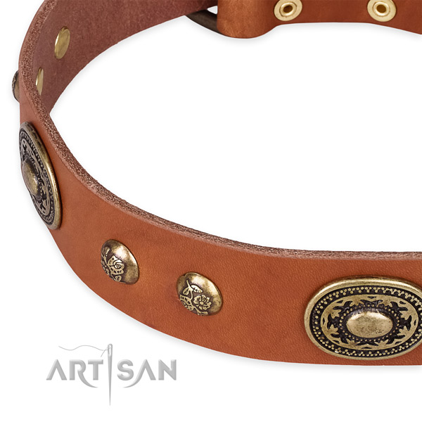 Awesome full grain natural leather collar for your lovely four-legged friend