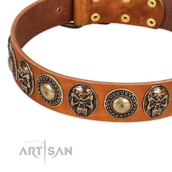 Durable adornments on leather dog collar for your four-legged friend