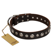 "Gorgeous Shields" FDT Artisan Brown Leather Rottweiler Collar with Old Silver-like Circles and Small Camomiles "Gorgeous Shields" FDT Artisan Brown Leather Rottweiler Collar with Old Silver-like Circles and Small Camomiles