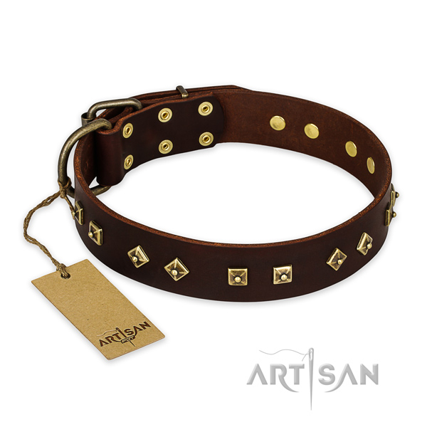 Easy wearing full grain leather dog collar with corrosion resistant hardware