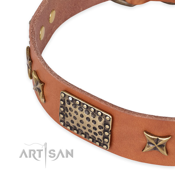 Natural genuine leather collar with reliable fittings for your lovely pet