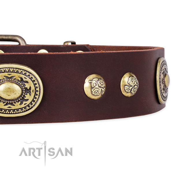 Inimitable full grain natural leather collar for your handsome canine