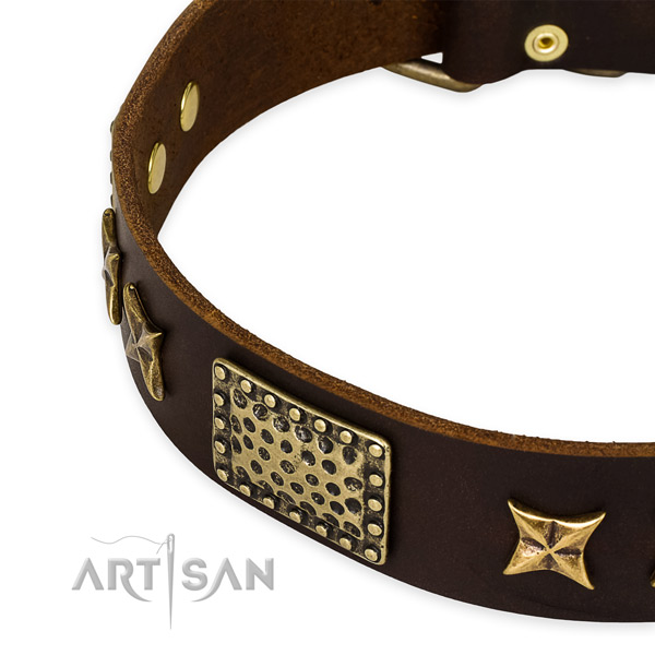Full grain leather collar with corrosion proof traditional buckle for your impressive dog