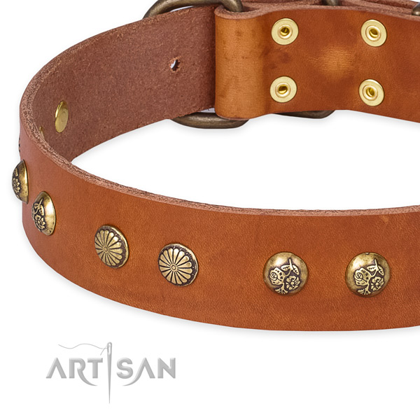 Full grain genuine leather collar with corrosion resistant fittings for your handsome canine