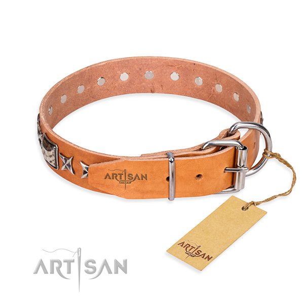 Strong embellished dog collar of full grain natural leather