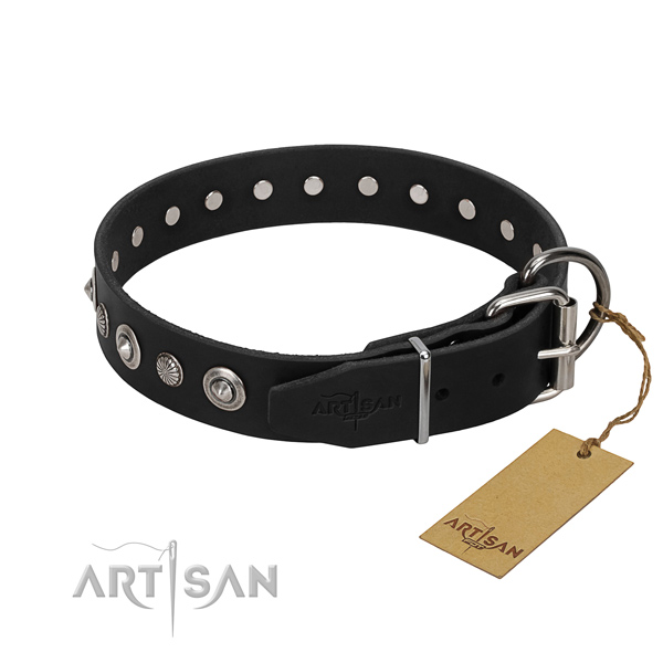 Best quality full grain natural leather dog collar with extraordinary embellishments