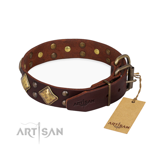 Leather dog collar with fashionable reliable adornments