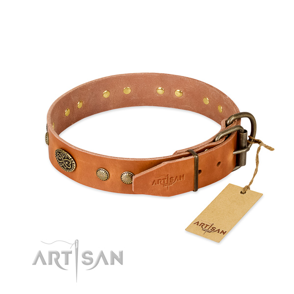 Durable adornments on leather dog collar for your doggie