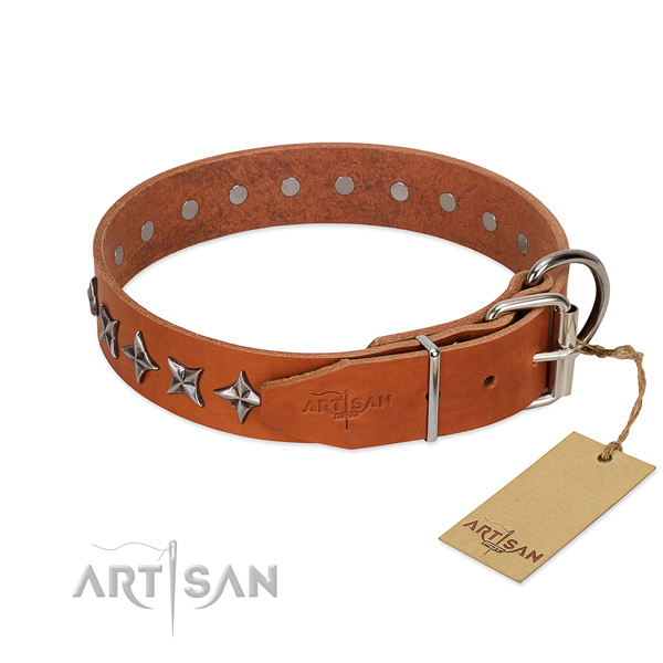 Fancy walking studded dog collar of reliable full grain genuine leather