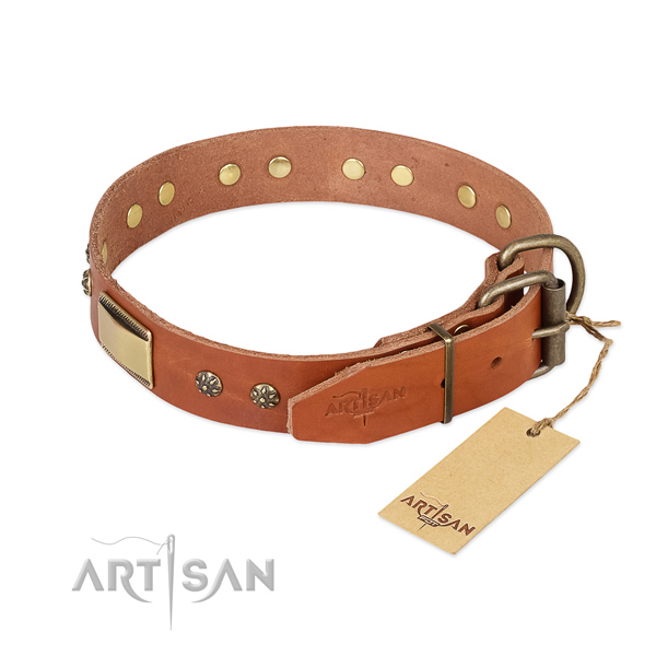 Genuine leather dog collar with rust resistant hardware and adornments