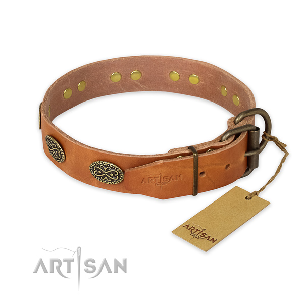Corrosion proof fittings on genuine leather collar for everyday walking your pet