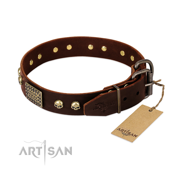 Reliable buckle on everyday walking dog collar