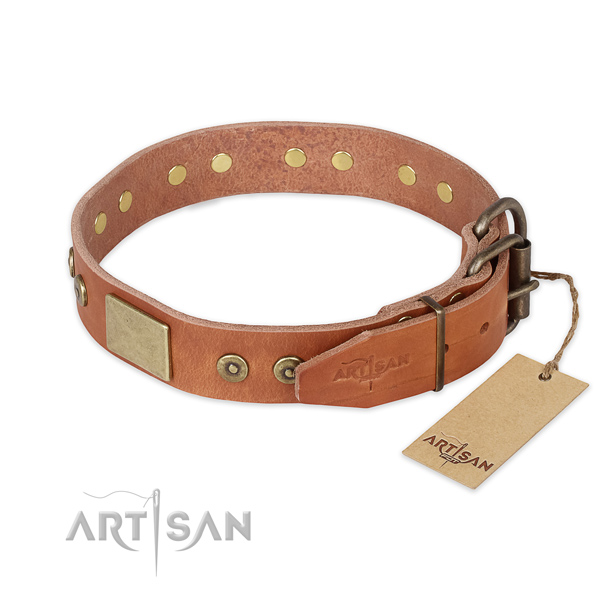 Strong D-ring on full grain natural leather collar for basic training your dog
