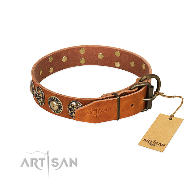 Rust-proof traditional buckle on comfy wearing dog collar