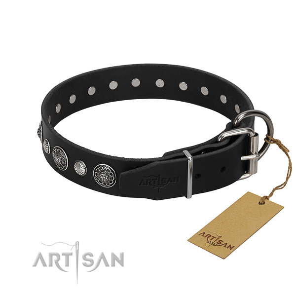 Reliable leather dog collar with awesome studs