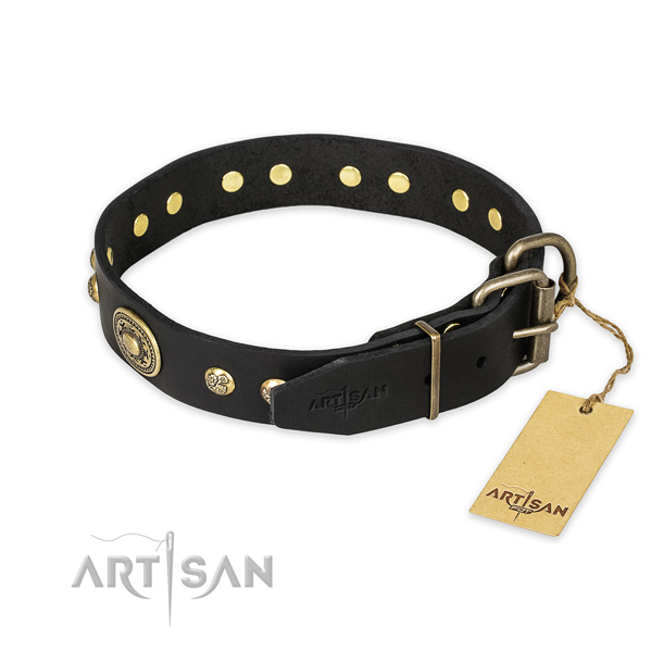 Corrosion proof buckle on full grain leather collar for stylish walking your dog