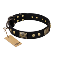 "Biker Style" FDT Artisan Black Leather Rottweiler Collar with Old Bronze Look Plates and Skulls "Biker Style" FDT Artisan Black Leather Rottweiler Collar with Old Bronze Look Plates and Skulls