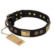 "Ancient Egypt" FDT Artisan Leather Rottweiler Collar with Old Bronze Look Decorations "Ancient Egypt" FDT Artisan Leather Rottweiler Collar with Old Bronze Look Decorations