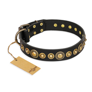 "Gold Mine" FDT Artisan Black Leather Rottweiler Collar with Amazing Bronze-Plated Round Studs "Gold Mine" FDT Artisan Black Leather Rottweiler Collar with Amazing Bronze-Plated Round Studs