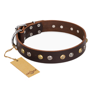 "Golden"n"Silver Luxury" FDT Artisan Leather Rottweiler Collar with Engraved Studs "Golden"n"Silver Luxury" FDT Artisan Leather Rottweiler Collar with Engraved Studs