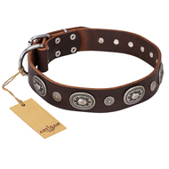 "Extra Pizzazz" FDT Artisan Adorned Brown Leather Rottweiler Collar "Extra Pizzazz" FDT Artisan Adorned Brown Leather Rottweiler Collar