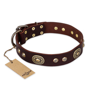 "Breath of Elegance" FDT Artisan Decorated with Plates Brown Leather Rottweiler Collar "Breath of Elegance" FDT Artisan Decorated with Plates Brown Leather Rottweiler Collar