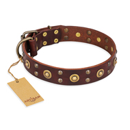 "Caprice of Fashion" FDT Artisan Brown Leather Rottweiler Collar with Round Decorations "Caprice of Fashion" FDT Artisan Brown Leather Rottweiler Collar with Round Decorations