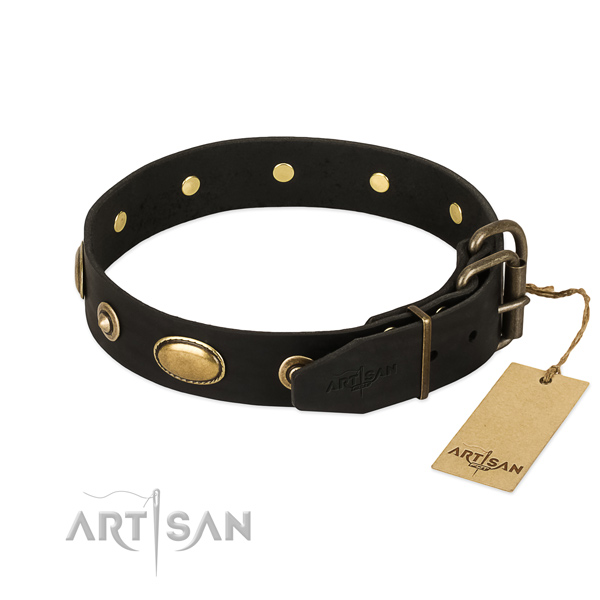Corrosion proof embellishments on genuine leather dog collar for your four-legged friend