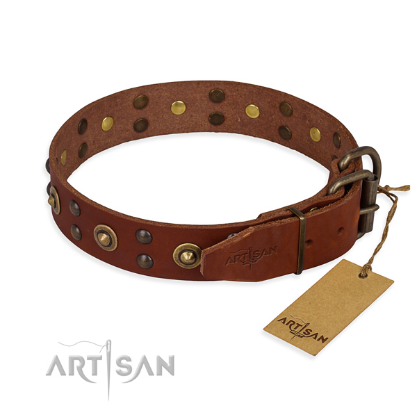 Corrosion proof fittings on leather collar for your handsome pet