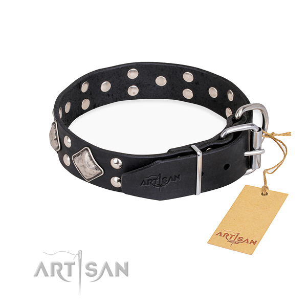 Full grain natural leather dog collar with incredible reliable studs