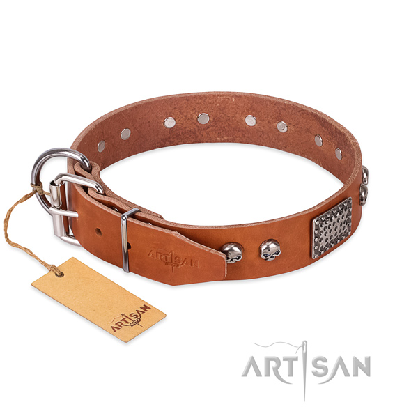 Corrosion resistant adornments on everyday use dog collar
