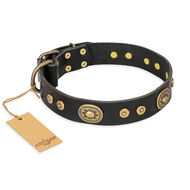 "Golden Radiance" FDT Artisan Black Leather Rottweiler Collar with Old Bronze Look Ovals and Circles "Golden Radiance" FDT Artisan Black Leather Rottweiler Collar with Old Bronze Look Ovals and Circles