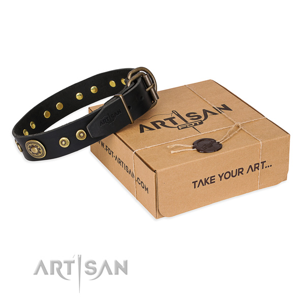 Genuine leather dog collar made of top notch material with corrosion resistant fittings