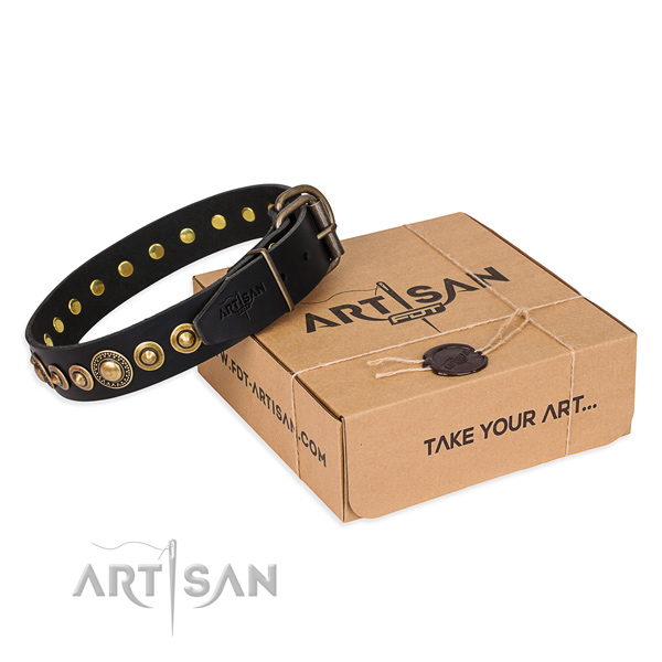 High quality genuine leather dog collar created for stylish walking