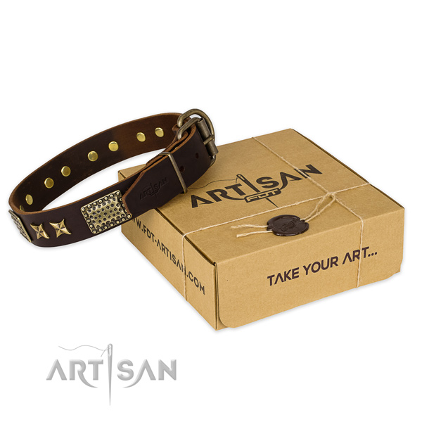 Strong buckle on full grain natural leather collar for your handsome dog