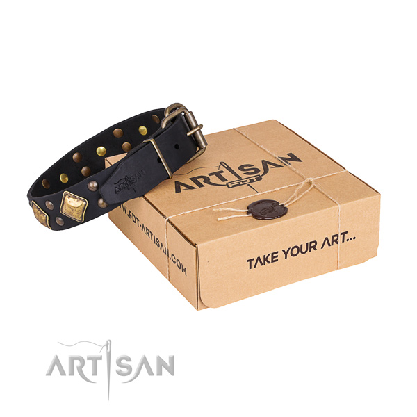 Comfortable wearing dog collar with Fashionable corrosion proof adornments