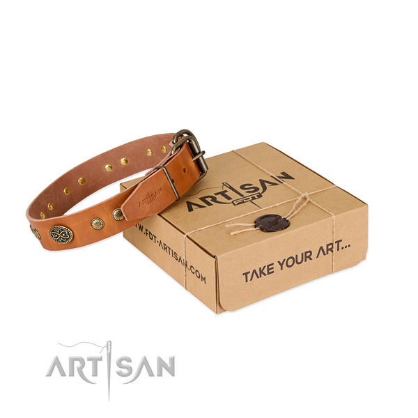 Rust-proof decorations on full grain natural leather dog collar for your dog