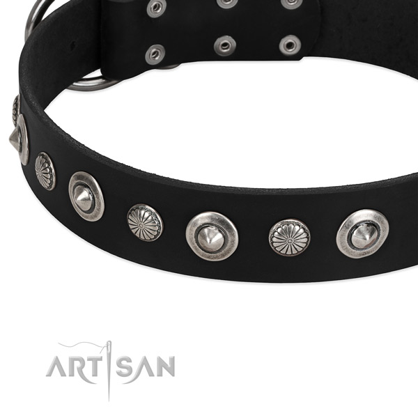 Awesome embellished dog collar of strong full grain leather