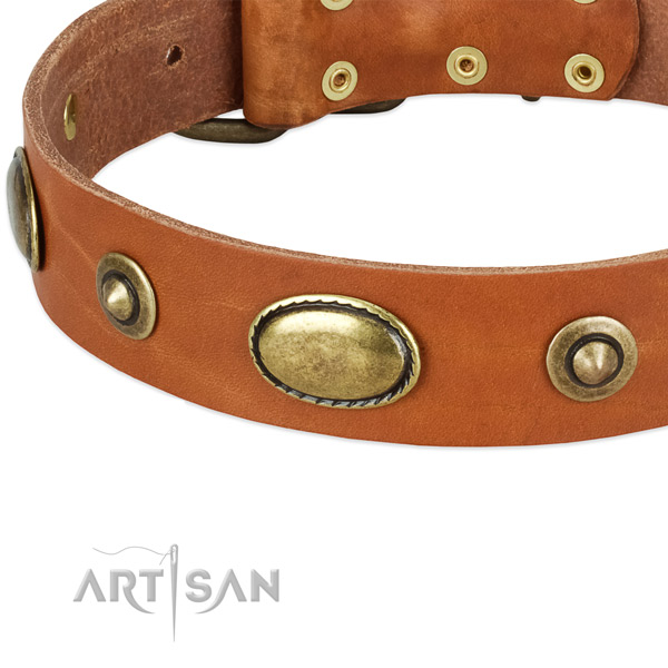 Corrosion resistant embellishments on genuine leather dog collar for your canine