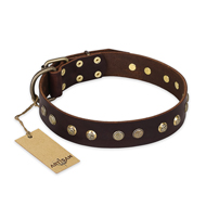 "Bronze Sheen" FDT Artisan Leather Rottweiler Collar with Brass-Plated Studs "Bronze Sheen" FDT Artisan Leather Rottweiler Collar with Brass-Plated Studs