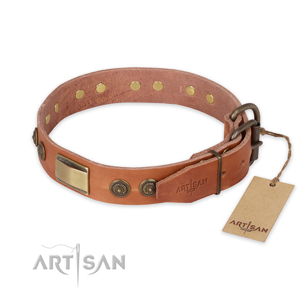 Reliable D-ring on leather collar for stylish walking your pet