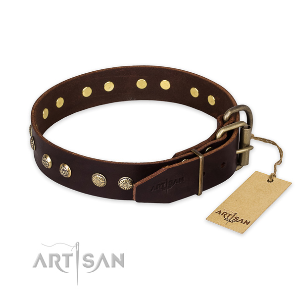 Reliable buckle on leather collar for your beautiful pet