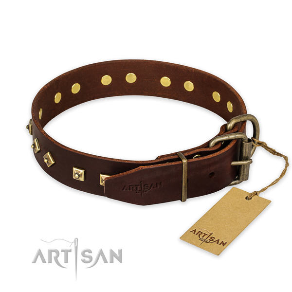 Rust resistant buckle on full grain leather collar for fancy walking your dog
